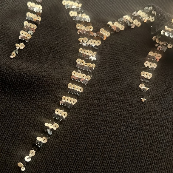 BETAS CHOICE, Large, sequin top EUC - Picture 7 of 8